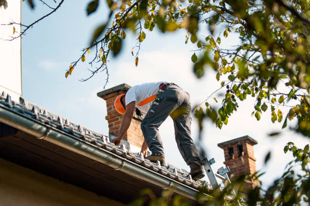Best Commercial Roofing Services  in Durant, MS