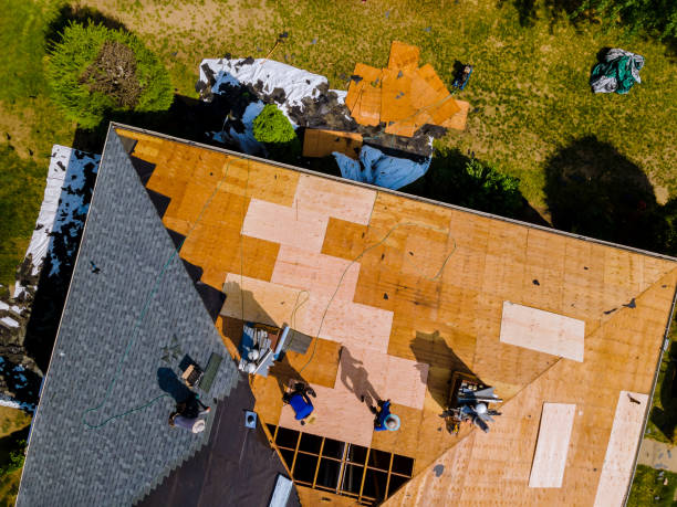 Roof Gutter Cleaning in Durant, MS